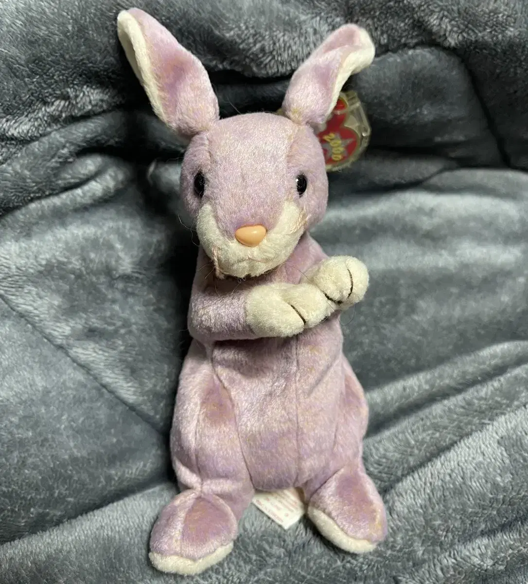 Tybear Bunny sells tybunny