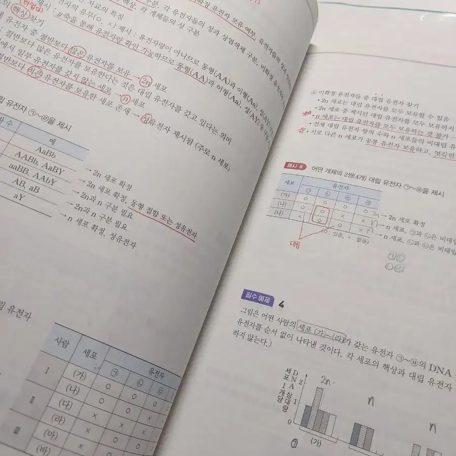 생명 백호 16모의고사/ 상크스 문제편