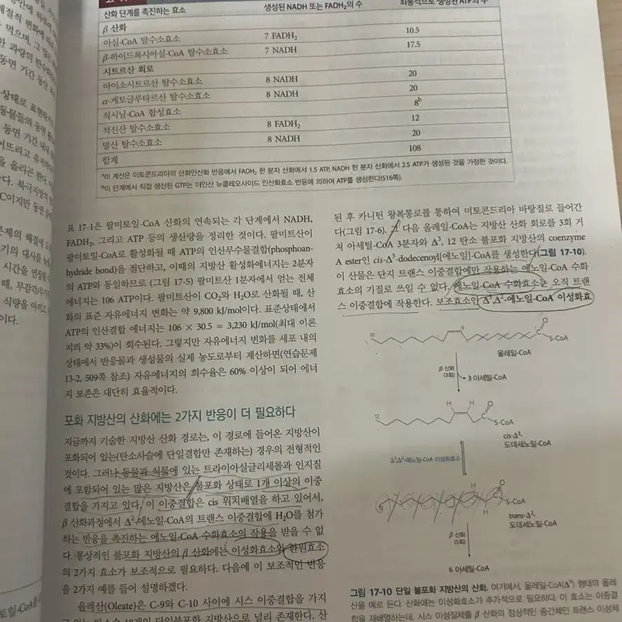 레닌저 생화학 제7판 하