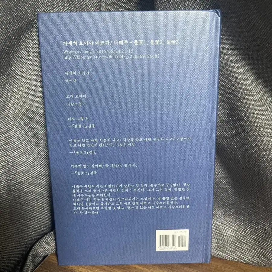 꽃을 보듯 너를 본다 (저자 : 나태주)