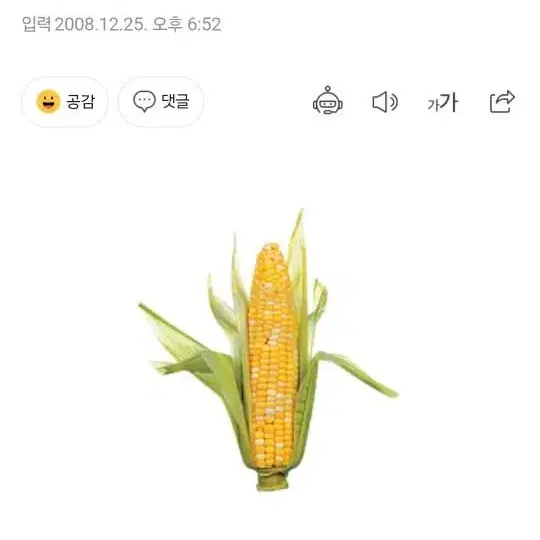 옥수수전분으로 만든 친환경접시 250장