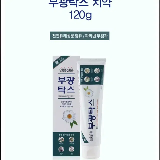 부광약품 부광탁스 치약 120g x4