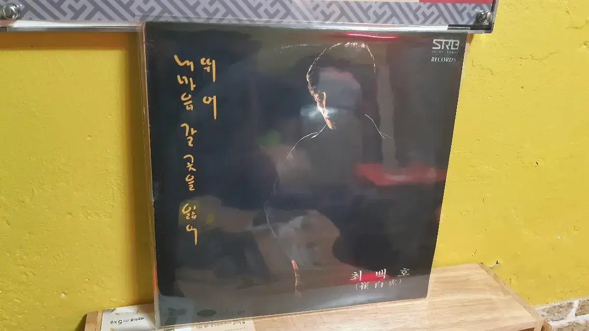 최백호 윤정하 lp