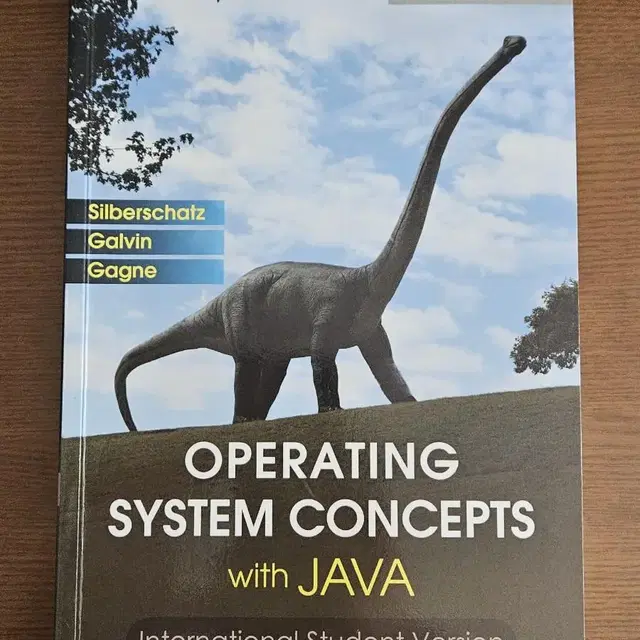 operating system with java (운영체제)