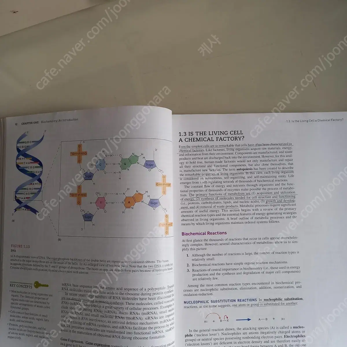 McKEE biochemistry 6판 영문 원서