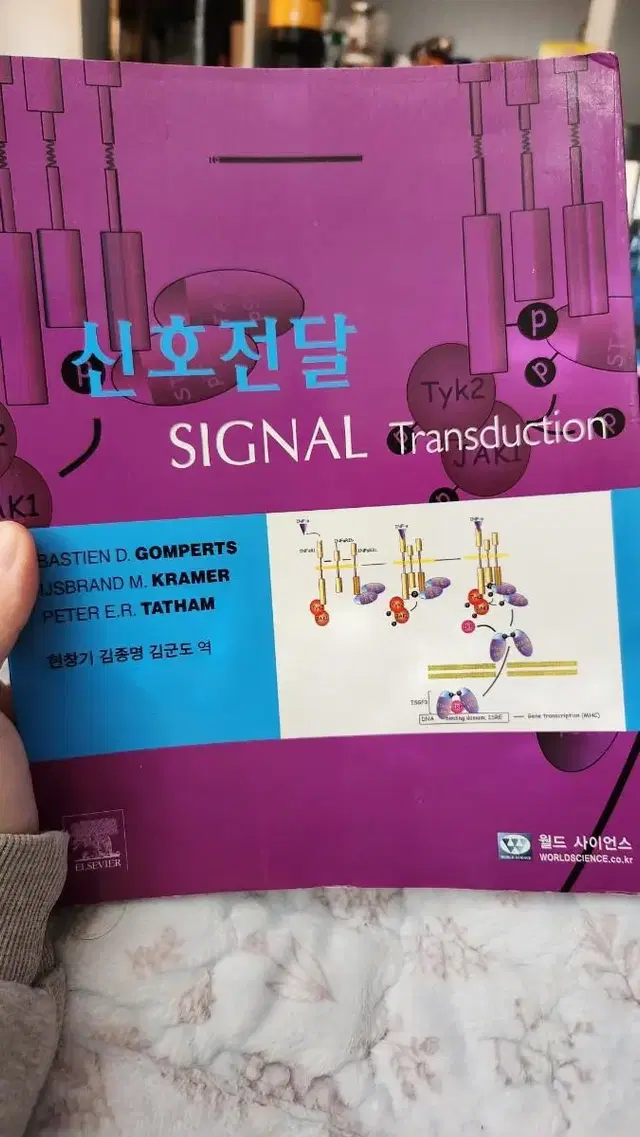 신호전달 대학전공서적 교재팝니다