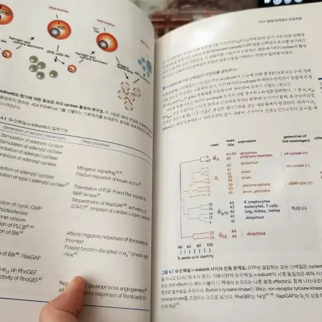 신호전달 대학전공서적 교재팝니다