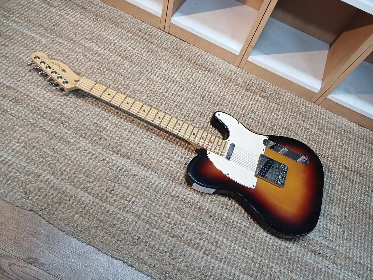 펜더 텔레캐스터 일렉기타 fender