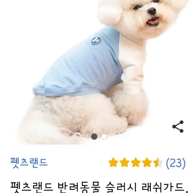 강아지 래쉬가드