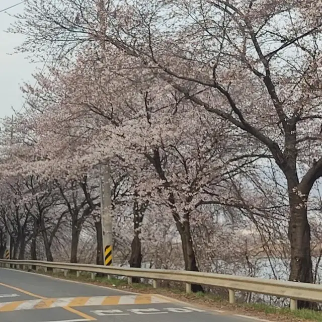 신세계 100만원 4