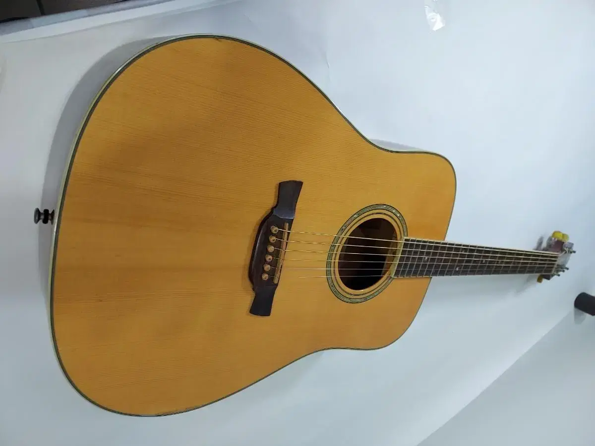 Vocal Dreadnought Topsolid Wholebody Guitar