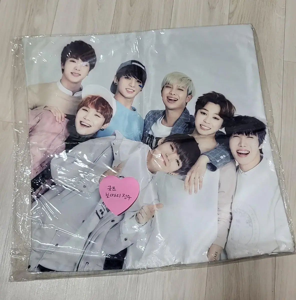 BTS Biggins Cushion Cover