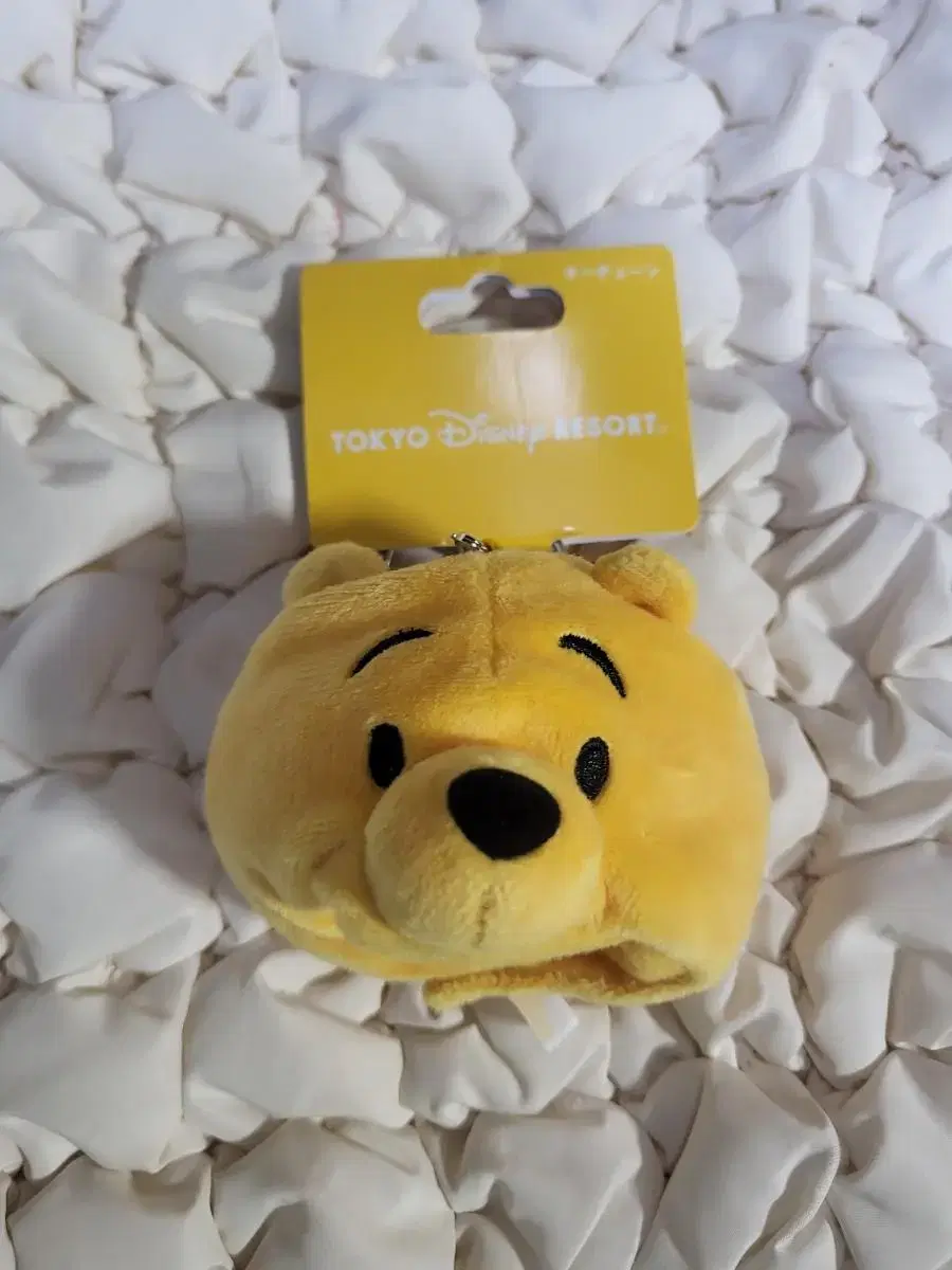 (Tokyo Disneyland Genuine)(Brand New)Winnie the Pooh Mini Funcap Keyring