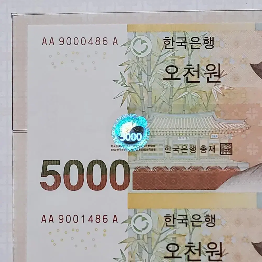 5차 오천원권 5000원초판 AAA 486번 빠른번호 연결지폐  경매첩