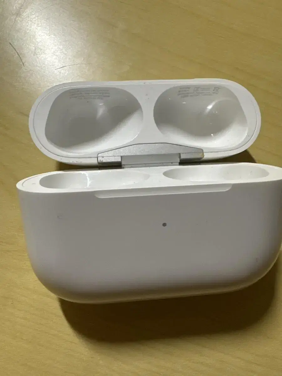 AirPods Pro body