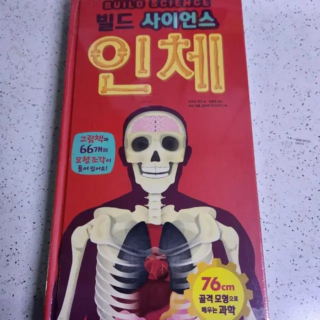 빌드사이언스 인체(만들기 책)-과학공부에 유용