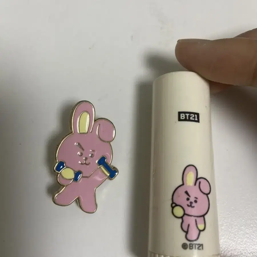 bt21 쿠키 브로치 귀마개 보관함