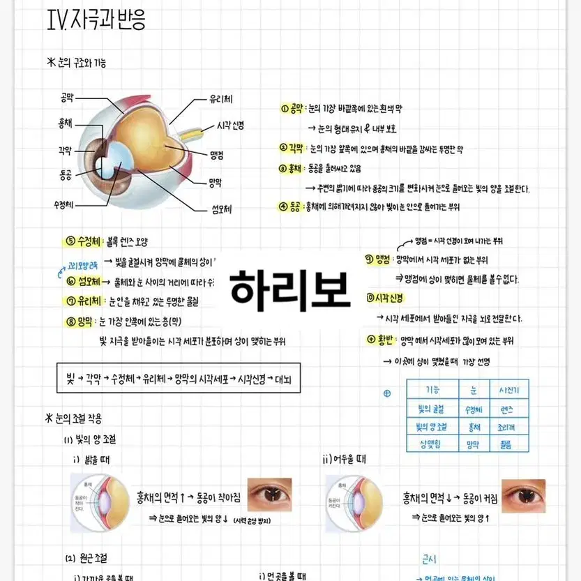 중학교 3학년 과학 필기노트