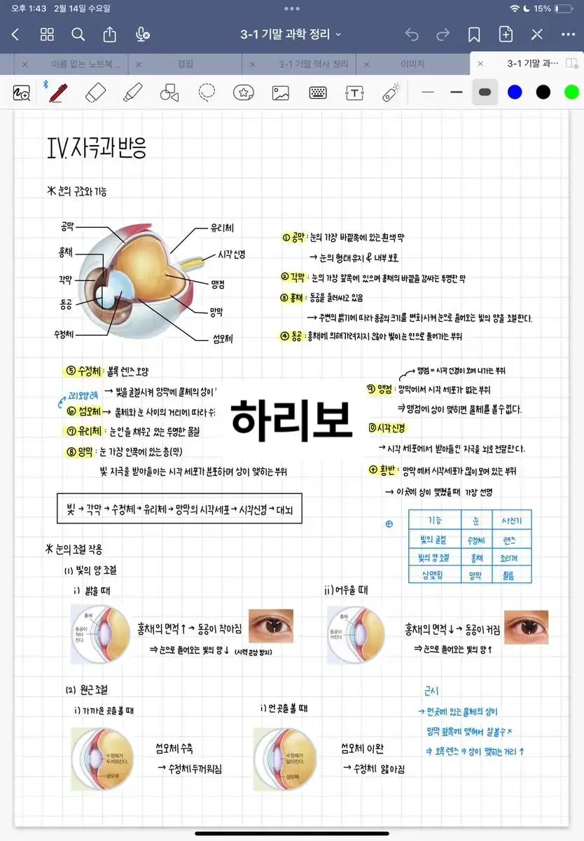 중학교 3학년 과학 필기노트