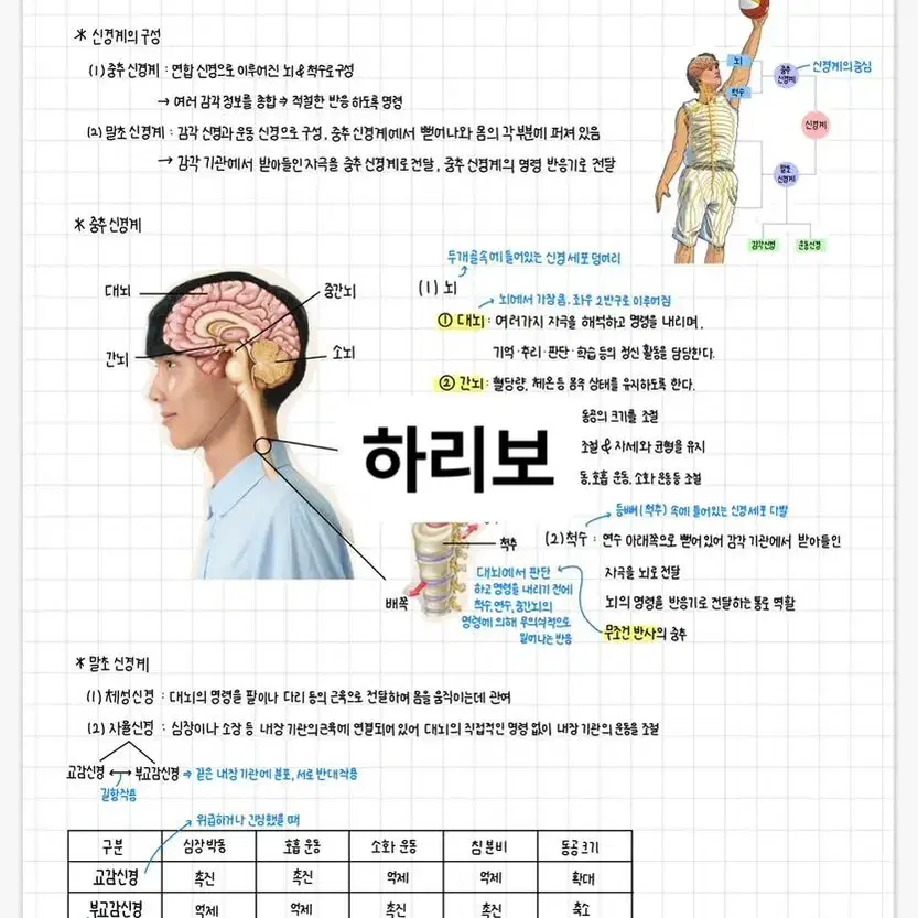 중학교 3학년 과학 필기노트