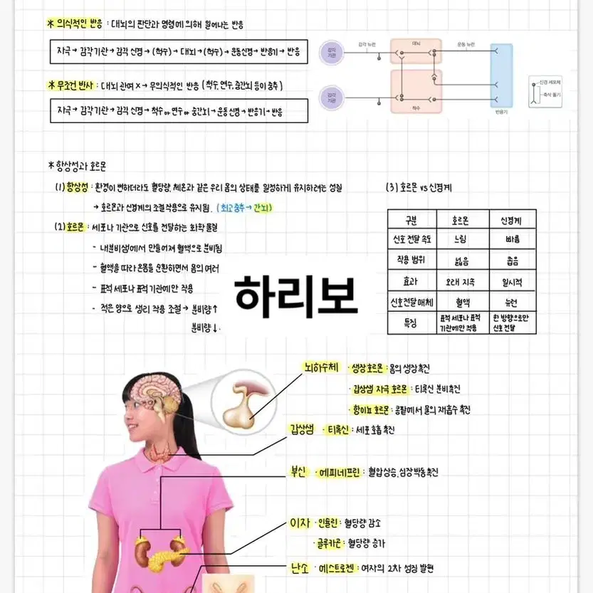 중학교 3학년 과학 필기노트