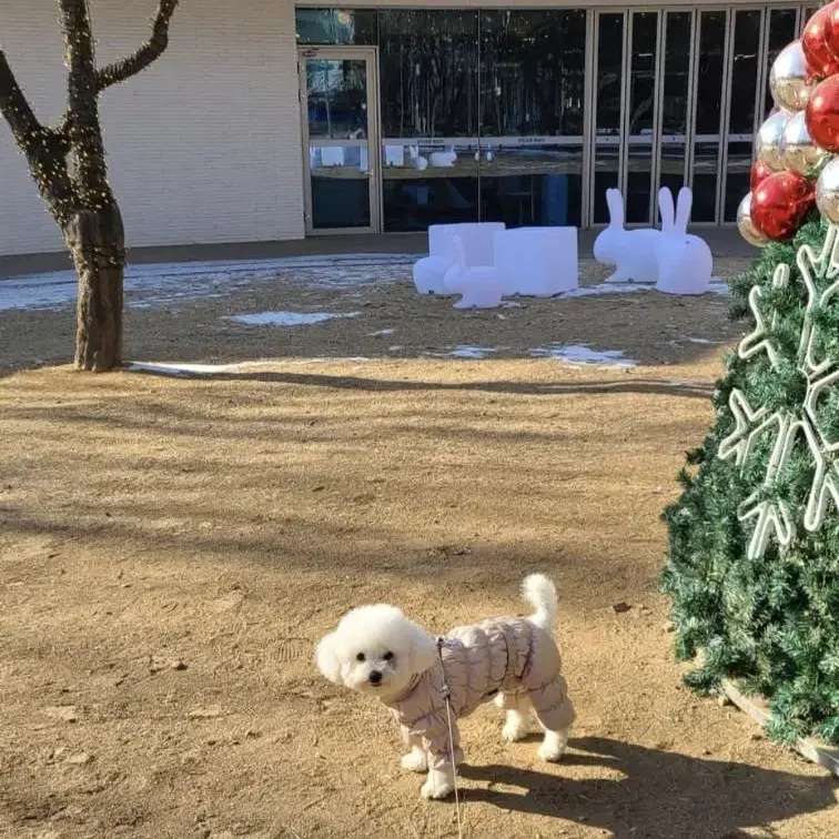 퍼피앤젤 럭셔리패딩