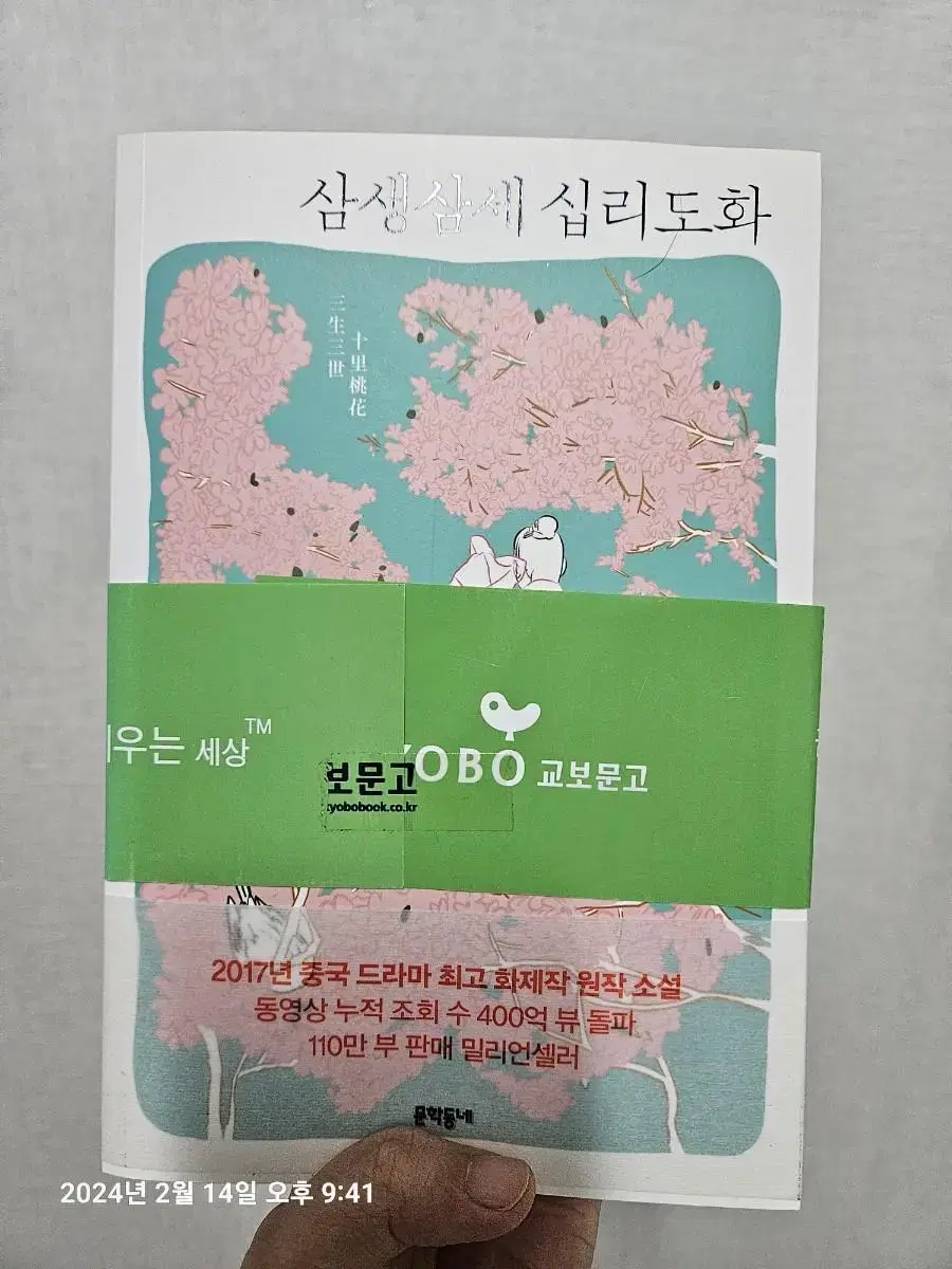 삼생삼세 십리도화 소설책