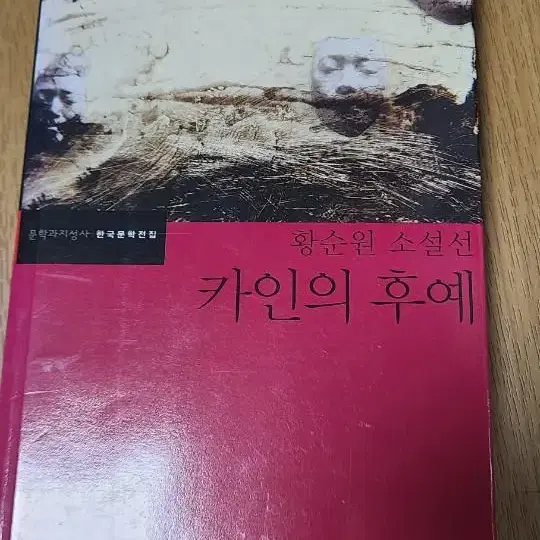 카인의초상 문학과 지성사