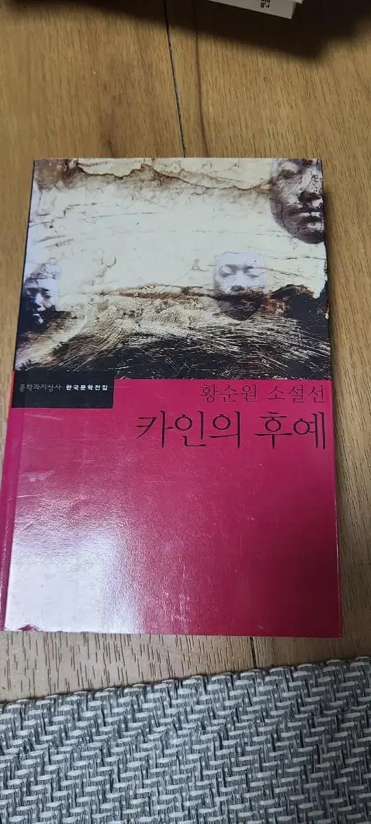 카인의초상 문학과 지성사