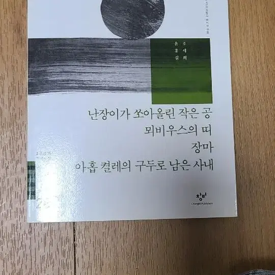 난장이가쏘아올린작은공 창비