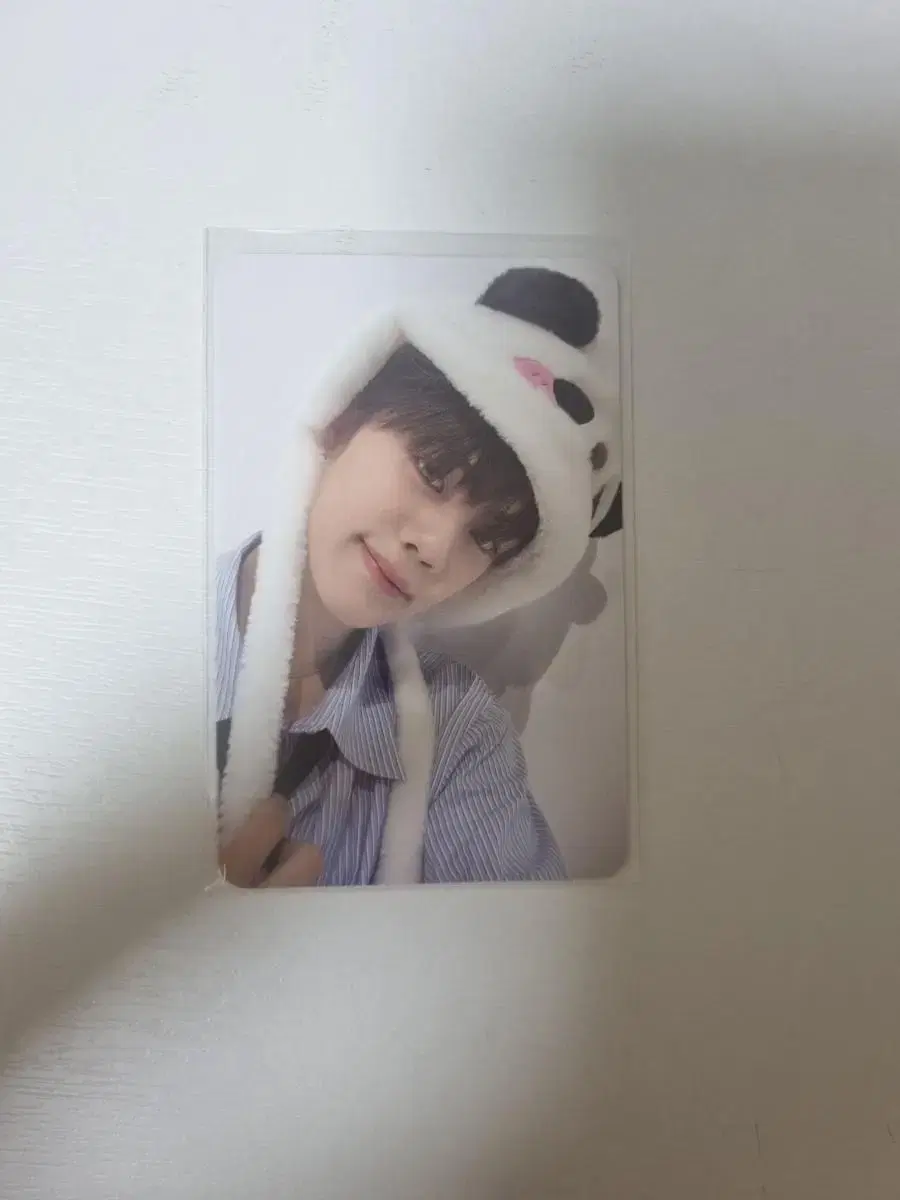 zb1 kim gyuvin panda unreleased photocard photocard