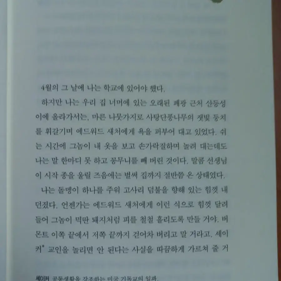 꿀꿀 돼지 잡아가세요~~ 돼지가 한마리도 죽지 않던날