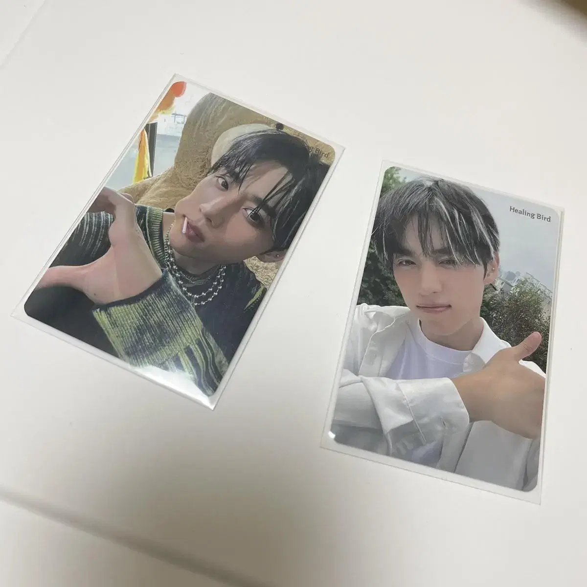 Healing Bird sunwoo double-sided photocard