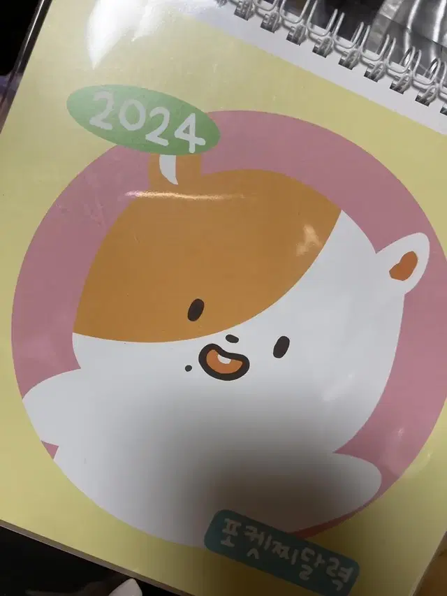 포켓찌 선착 2024 달력