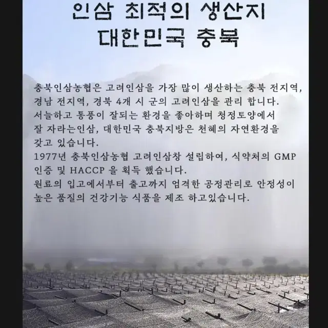 농협 흑마늘 진액 30포