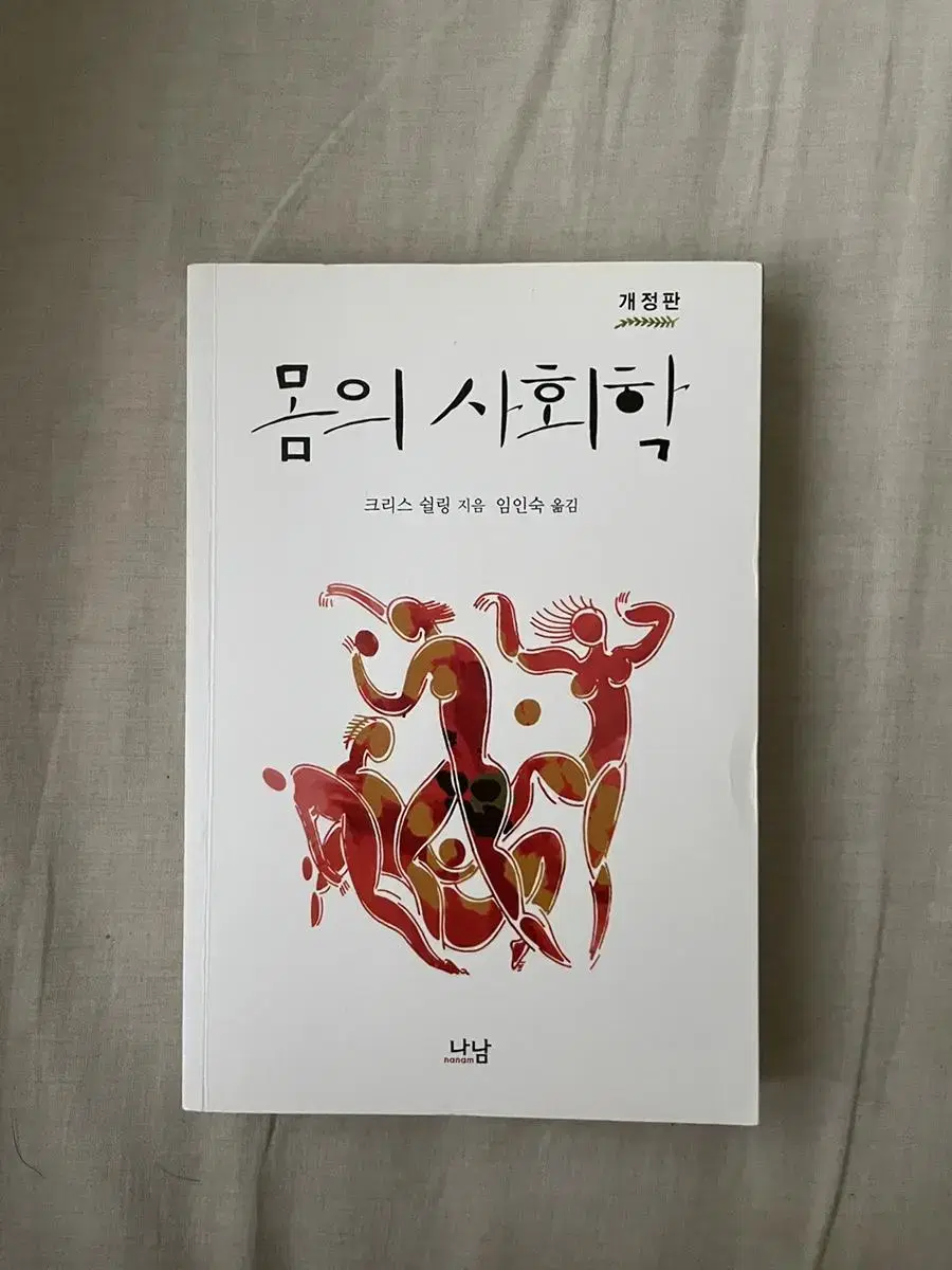 몸의 사회학 (나남)