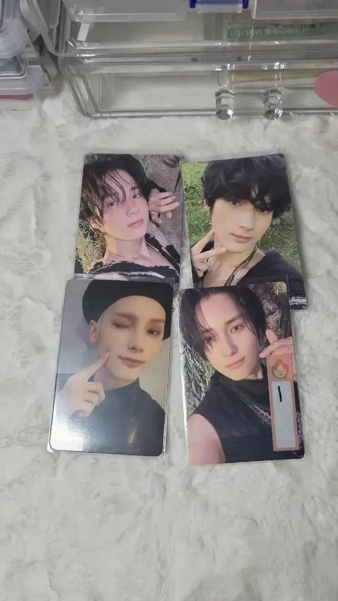 Penguin Hewing is selling photocard!