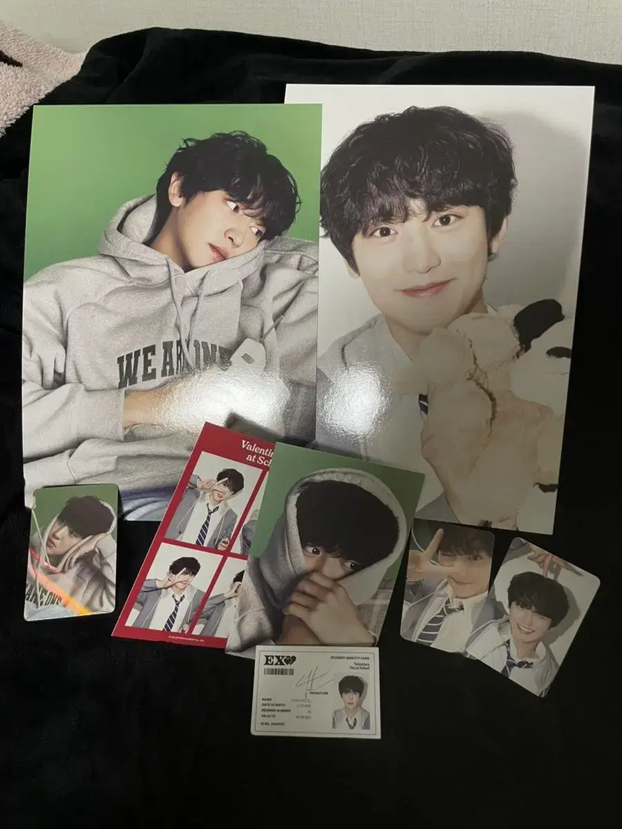 Exo 2024 season's greetings chanyeol Collection (with pre-order benefit photocard)