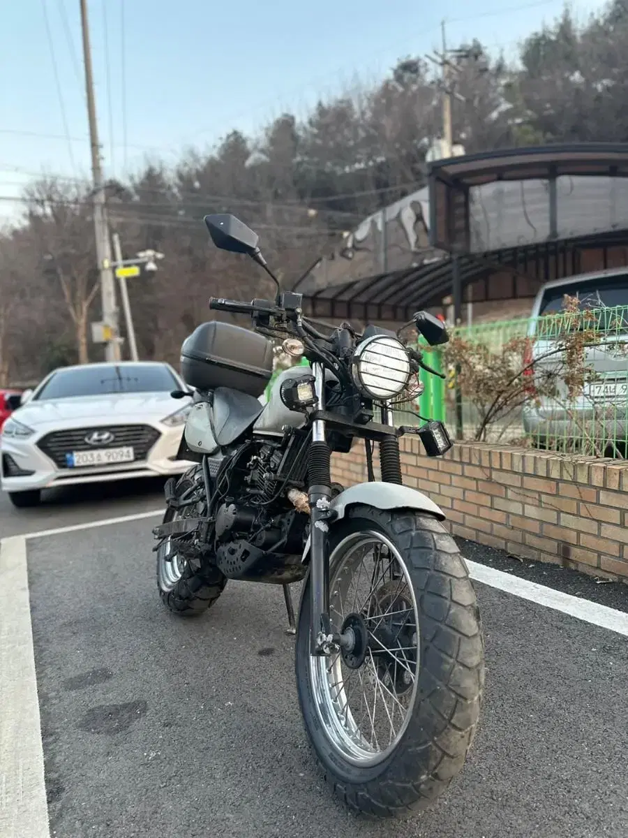 트로이125