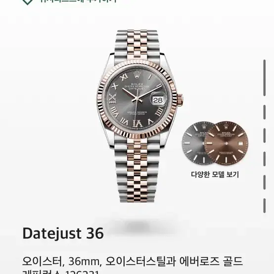 롤렉스 데이저스트 36mm 로골 콤비 다크로듐 69다이아