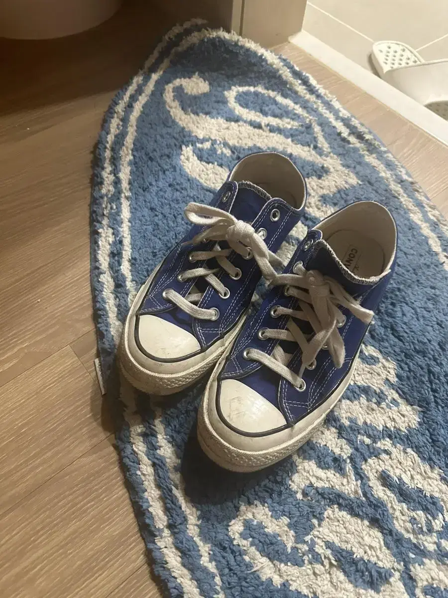 Converse Chuck Taylor_Bloo_250