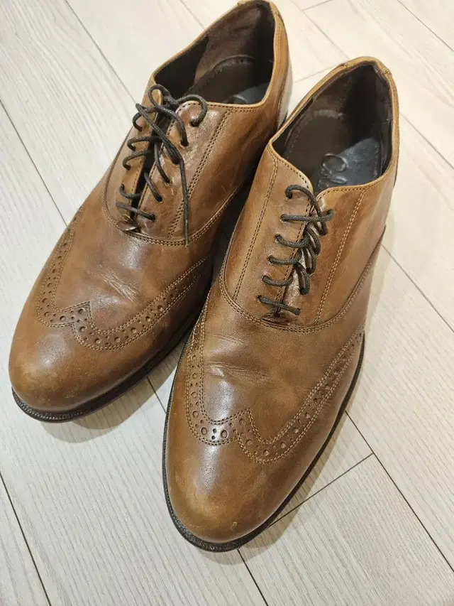 Cole Haan Wingtip 콜한 윙팁 옥스포드 남성 구두 260