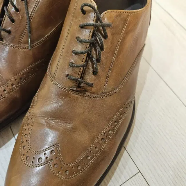 Cole Haan Wingtip 콜한 윙팁 옥스포드 남성 구두 260