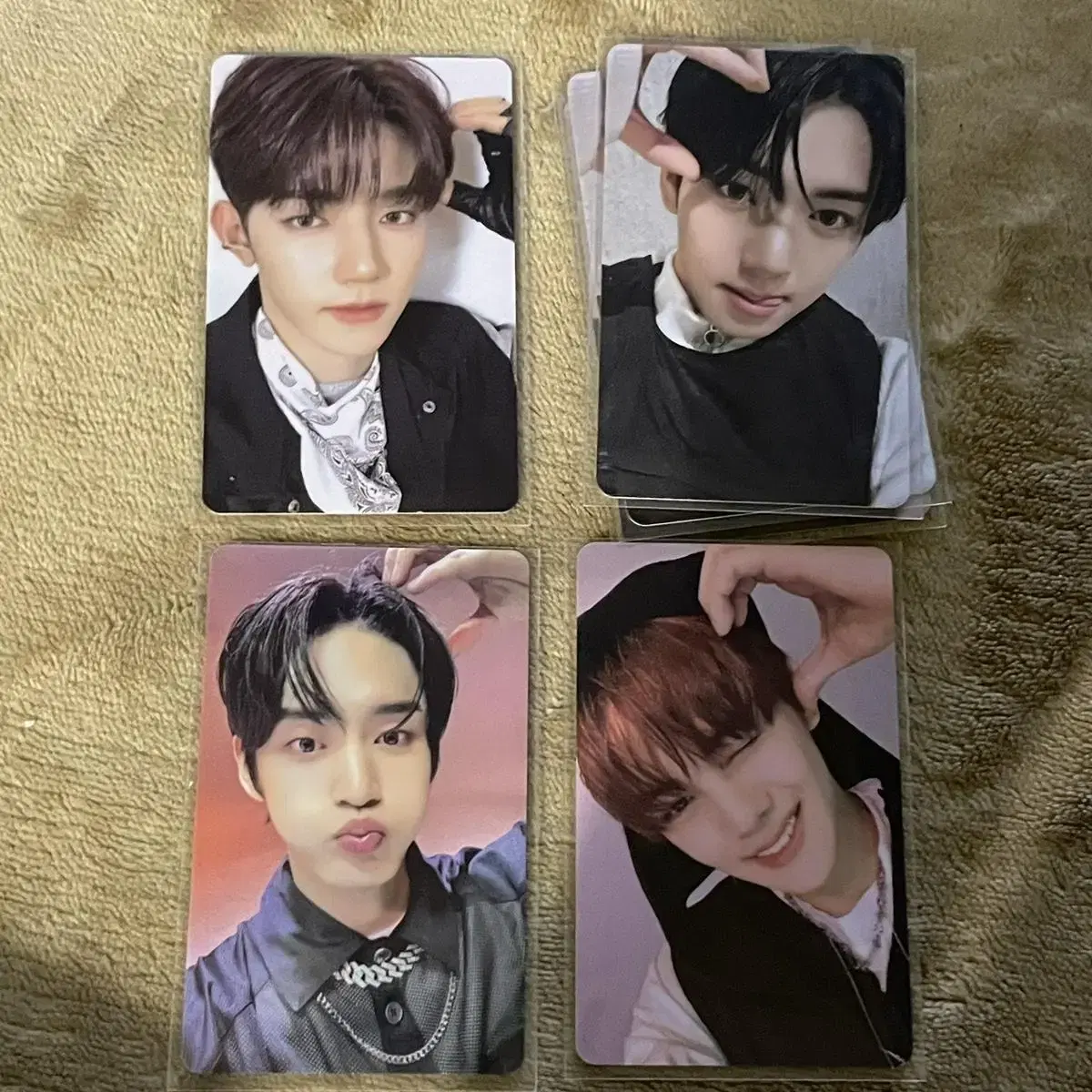 zb1 with muu gomgomgear ld unreleased photocard photocard wts hao gyu bin yujin jiung