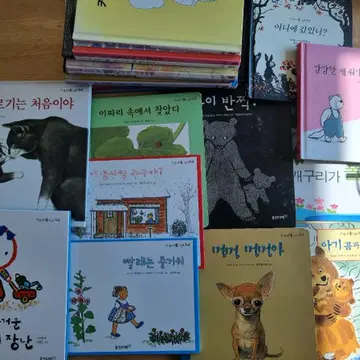 유아책(웅진 마술피리그림책꼬마) | 브랜드 중고거래 플랫폼, 번개장터