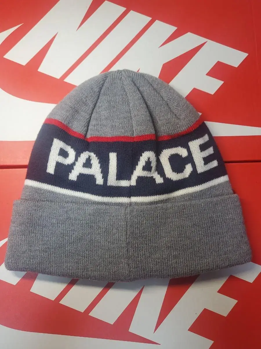 PALACE BEANIE 팔라스 비니