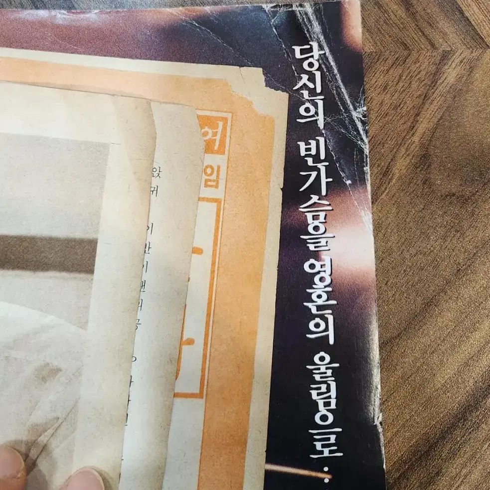 1988년 11월 포토뮤직 창간호