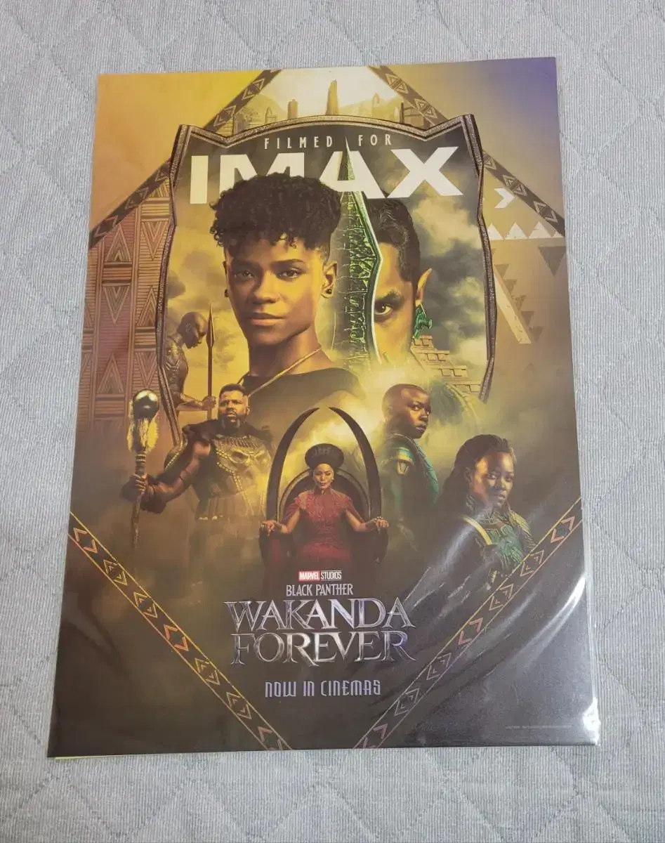 Black Panther 2 IMAX poster