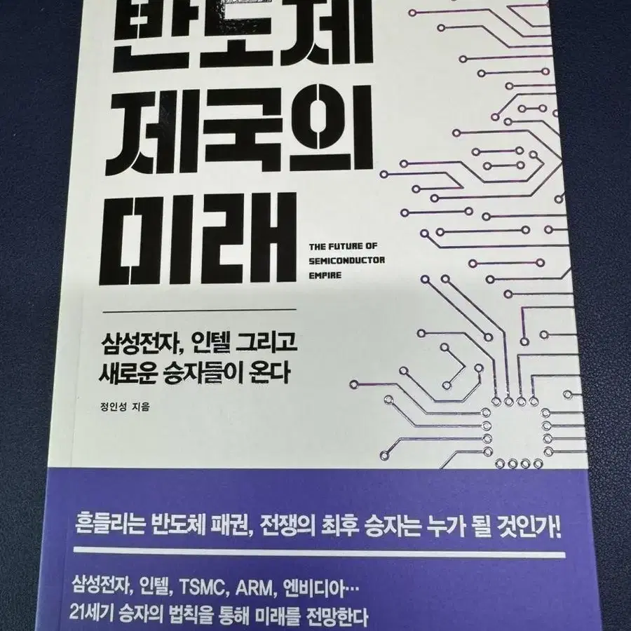 반도체 제국의 미래