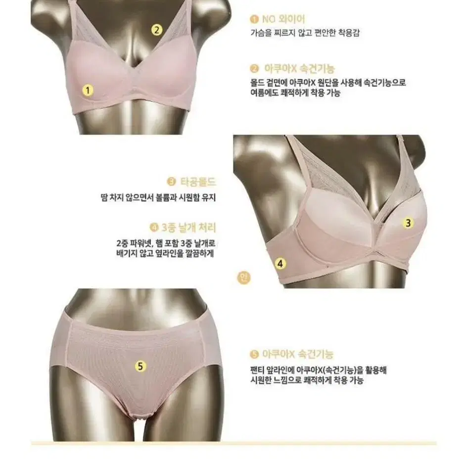 아네타 BB 아쿠아 윙브라 신영와코루 새제품